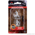D&D Nolzur's Marvelous Miniatures: Male Human Druid