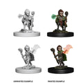 Pathfinder Deep Cuts Unpainted Miniatures: Gnome Male Druid