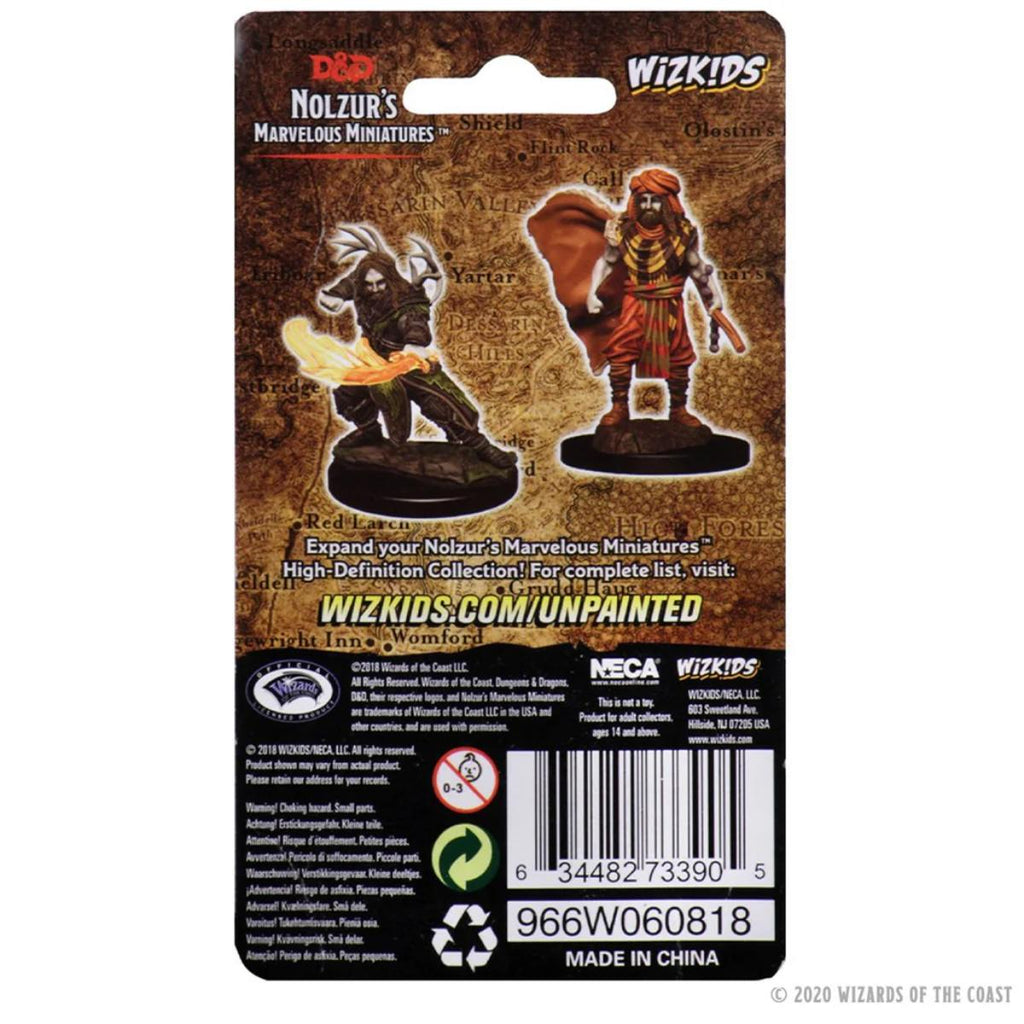 D&D Nolzur's Marvelous Miniatures: Male Human Druid