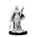 Pathfinder Deep Cuts Unpainted Miniatures: Wave 11: Female Human Oracle