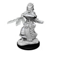 D&D Nolzur's Marvelous Miniatures: Night Hag & Dusk Hag