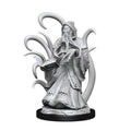 Wizkids Dungeons and Dragons Nolzur's Marvelous Alhoon and Intellect Devourer Unpainted Miniatures