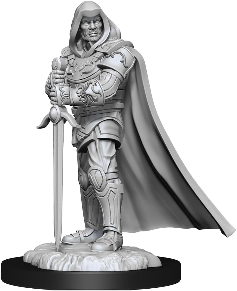 D&D Nolzur's Marvelous Miniatures: Human Paladin Male