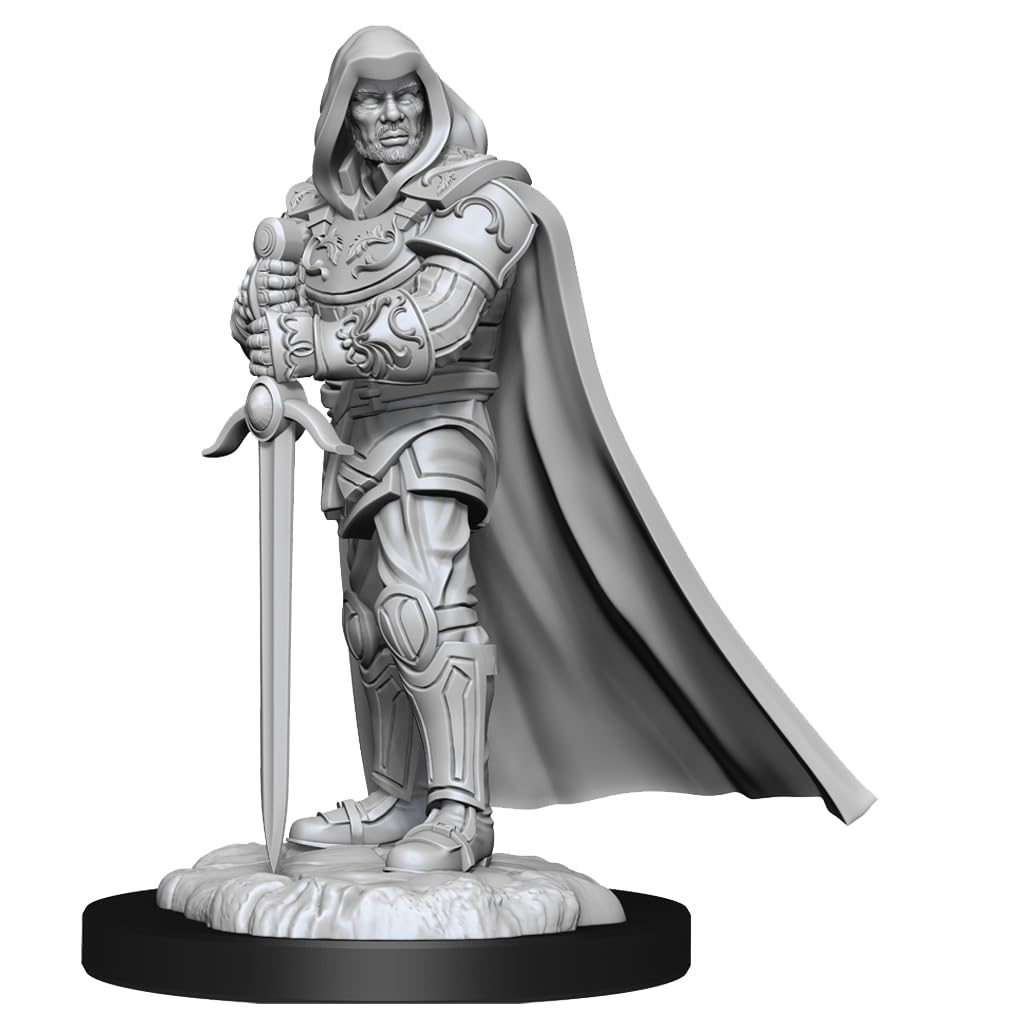 D&D Nolzur's Marvelous Miniatures: Human Paladin Male