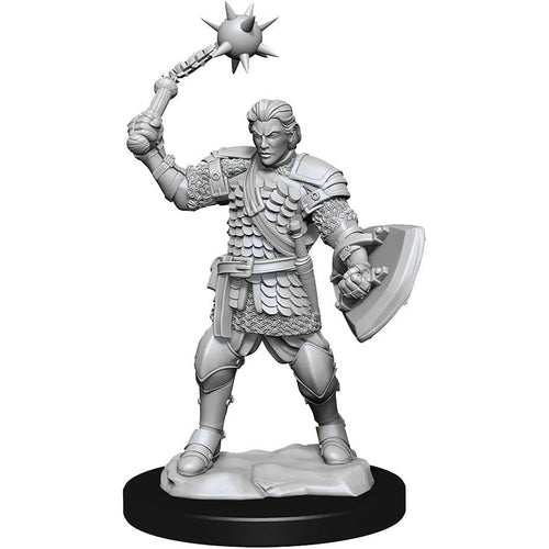 Critical Role Unpainted Miniatures: W1 Human Clovis Concord Cleric Male