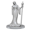 Critical Role Unpainted Miniatures: Human Wizard Female & Halfling Holy Warrior Female