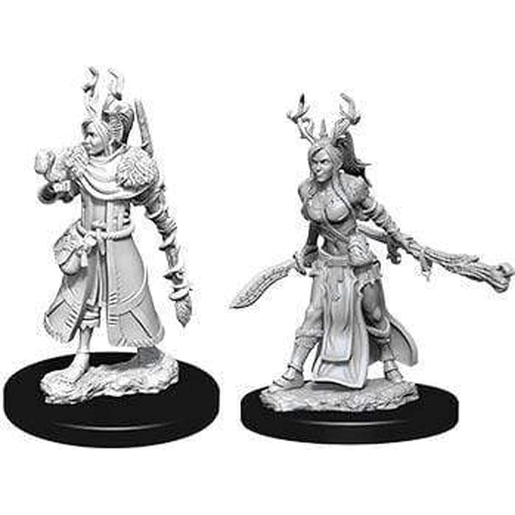 D&D Nolzur's Marvelous Miniatures - Female Human Druid