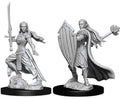 D&D Nolzur's Marvelous Miniatures: Elf Female Paladin