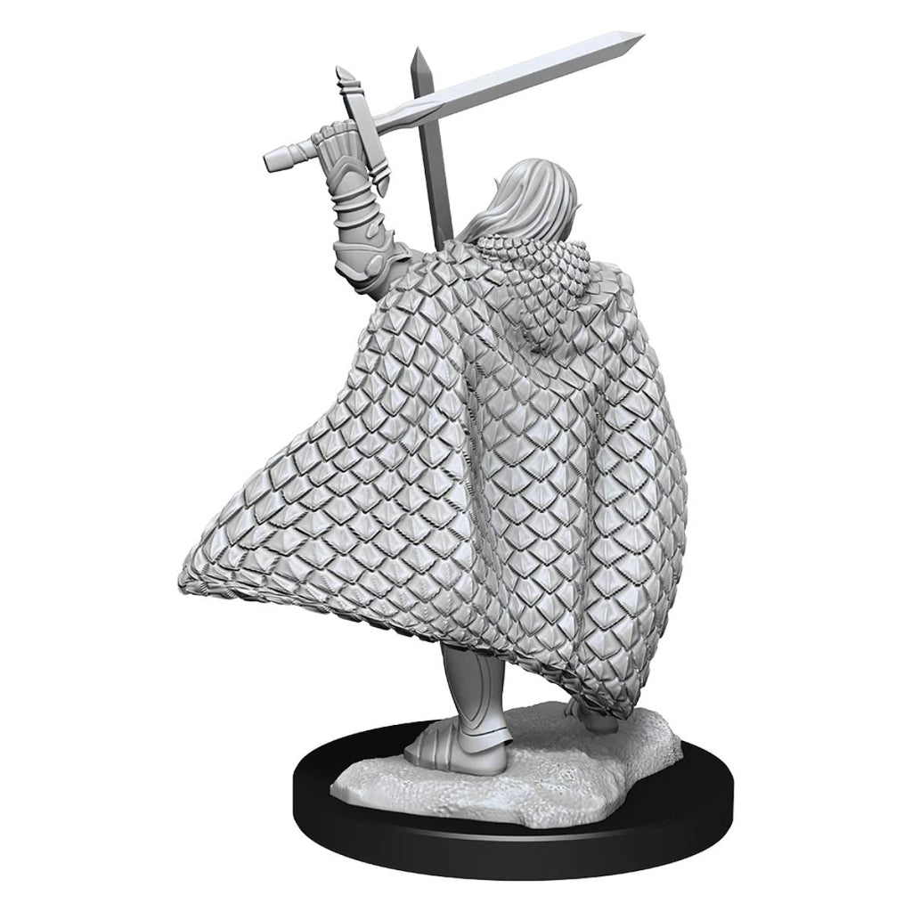 Pathfinder Deep Cuts Unpainted Miniatures: Elf Fighter Male