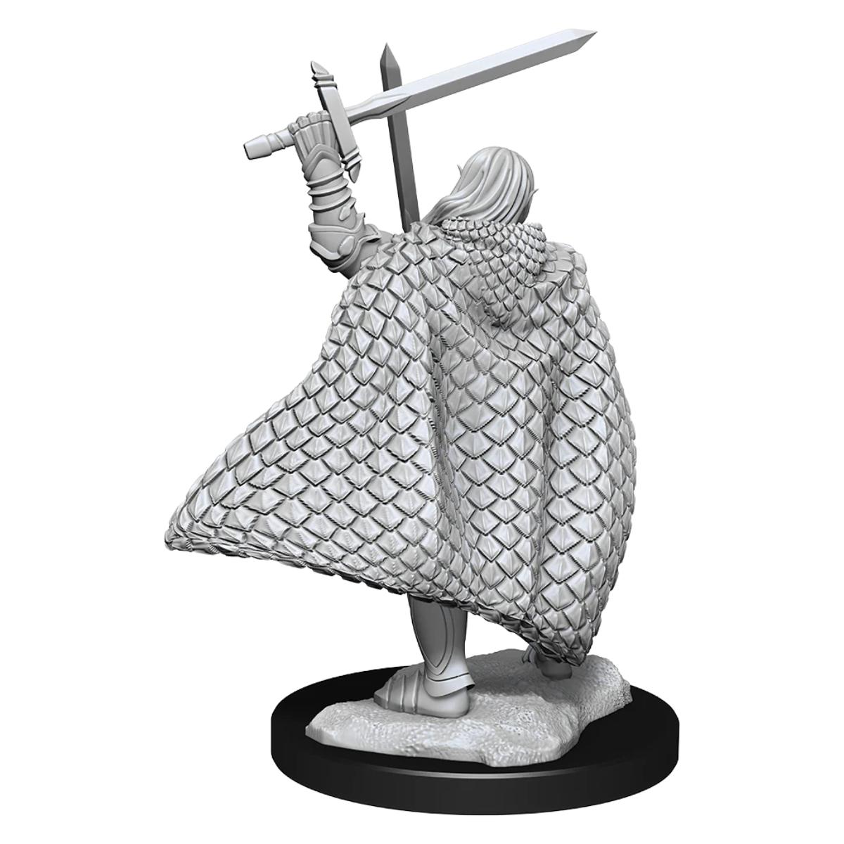 Pathfinder Deep Cuts Unpainted Miniatures: Elf Fighter Male