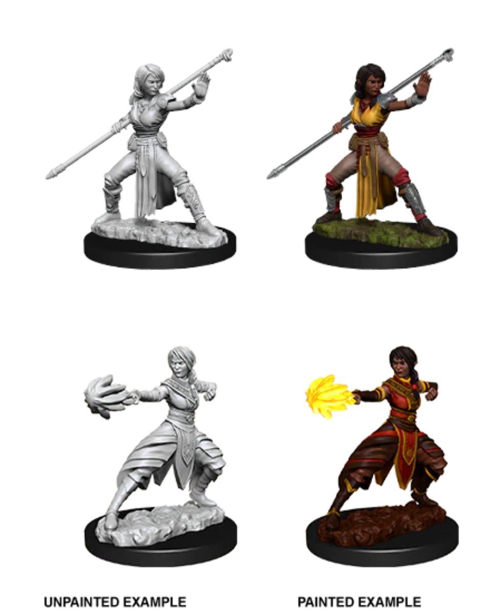 D&D Nolzur's Marvelous Miniatures - Female Half-Elf Monk