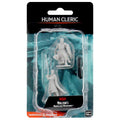 D&D Nolzur's Marvelous Miniatures: Elf Male Cleric