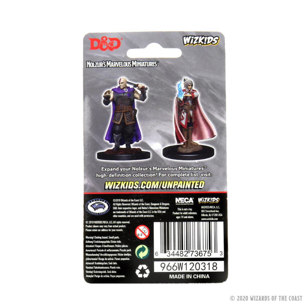 D&D Nolzur's Marvelous Miniatures: Human Ranger & Moon Elf Sorcerer
