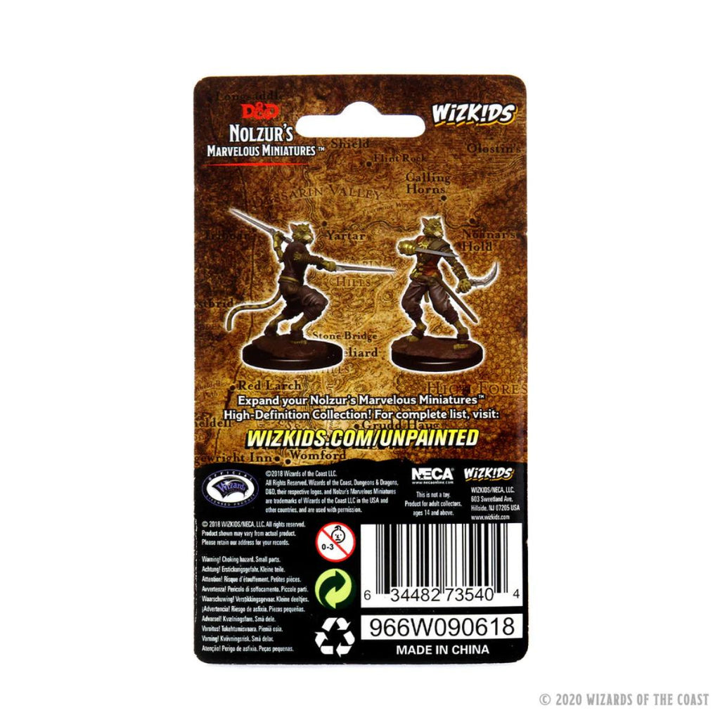 D&D Nolzur's Marvelous Miniatures: Male Tabaxi Rogue