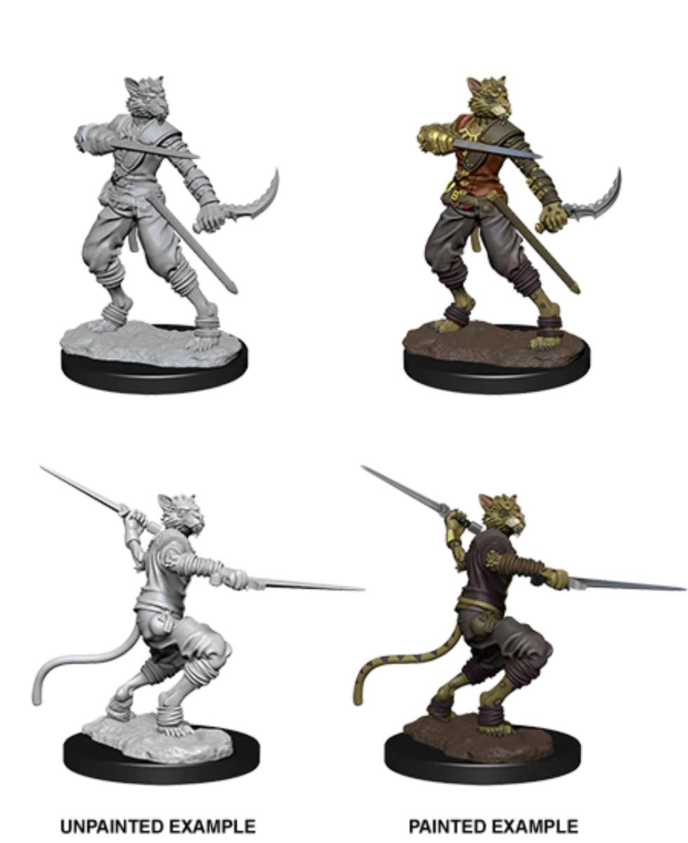 D&D Nolzur's Marvelous Miniatures: Male Tabaxi Rogue